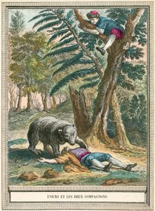 The Bear and the Two Companions