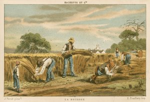 The Harvest by French School