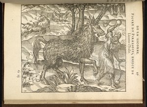 The hunting of a twin-horned unicorn (a pirassoipi.) from 