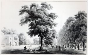 The Main Avenue in the Prater, Vienna, 1821 by French School