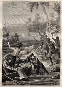 Captain James Cook