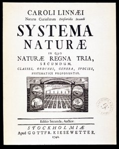 Title Page 