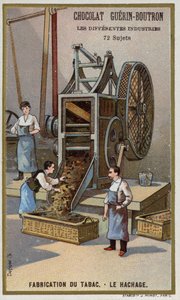 Tobacco Manufacturing. Shredding Leaves by French School