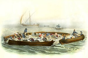 Tuna fishing or magrague - Plate extracted from Natural History by Bernard Germain de Lacepede