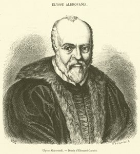 Ulisse Aldrovandi (engraving) by French School