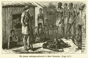 A Young White-Faced Nshiego-Mbouve (engraving) by French School