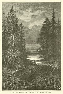 A Forest in the Early Centuries of the Cretaceous Period by French School