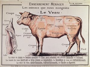 Veal: diagram depicting the different cuts of meat
