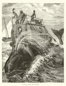 Voyage on the Back of a Whale