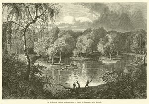 View of the Murray during high waters by French School