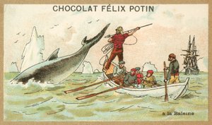 Whaling by French School