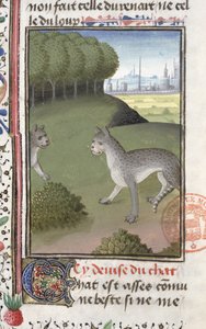 Wild Cats, from the Livre de la Chasse by Gaston Phebus de Foix (1331-91) by French School