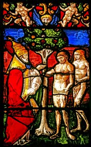 Adam Told Not to Eat from the Tree of Knowledge