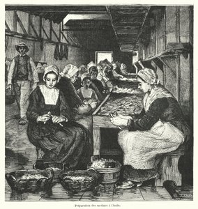 Women preparing sardines by French School