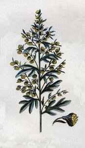 Illustration in 