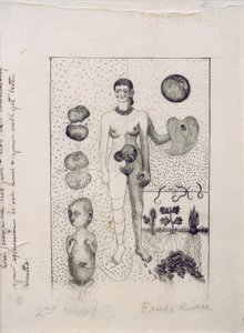 Frida and the Miscarriage