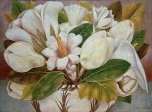 Magnolia