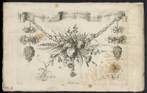 Various New Festoon of Flowers and Fruits by Friedrich Jacob Morisson