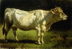 Cow in a Landscape
