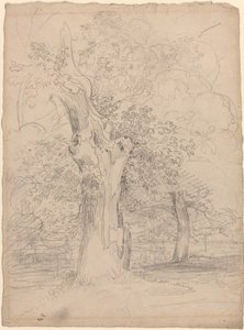 An Ancient Tree with Figures in a Landscape by Friedrich Salathé