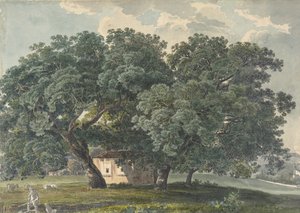 Italian Landscape with Trees by Friedrich Salathé