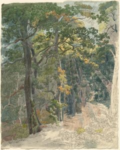 Rays of Sunlight Striking a Woodland Path by Friedrich Salathé