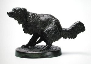 Long haired hunting dog