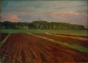 Fields at the Foot of Weyerberg