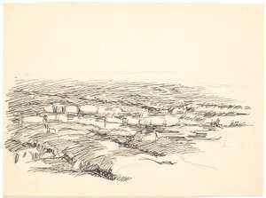 Study for a Moss Landscape