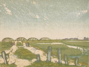 Shin Arakawa