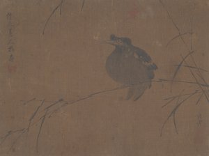 Mynah on Reed