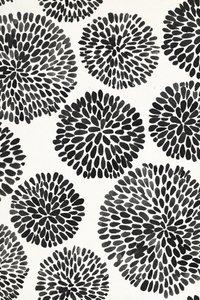 Black Ink Botanicals by Fun Qui
