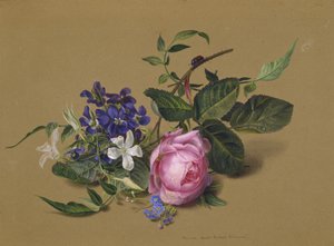 Beetle at the Rose Branch by Fyodor Petrovich Tolstoy