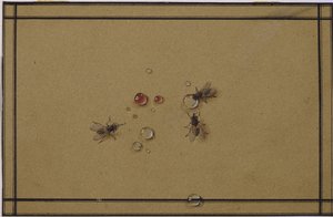 The Flies at the Waterdrops by Fyodor Petrovich Tolstoy