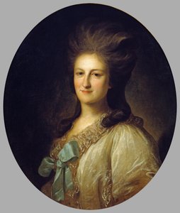 Portrait of V.E. Novosiltsova