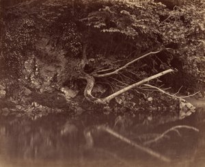 River Bank in the Vale of Neath by G. B. Gething