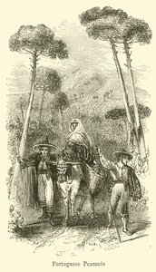 Portuguese Peasants