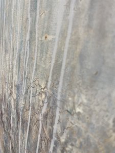 Cracked Aged Wall by Gabriela Aleksandra Szuba