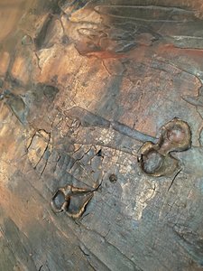 Cracked Bronze Patina by Gabriela Aleksandra Szuba