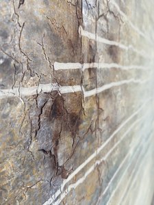 Distressed Line Perspective