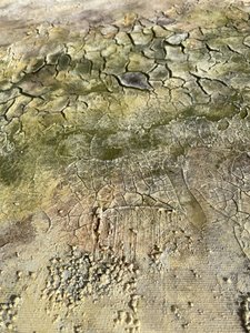 Earthy Abstract Texture