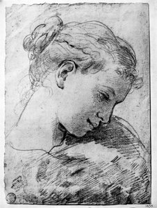 Study of a Girl