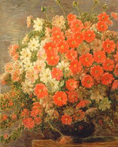 Dahlias