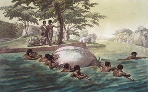 Gingri Tribesmen Crossing the River Zebee, plate 67 from 