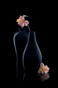 Elegant Alstroemeria Vases by GaoSL