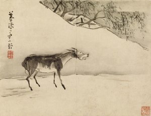 Braying Donkey