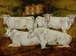Charolais Bulls, Dippenhall, Farnham by Gareth Lloyd Ball