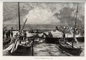 Tuna fishing (mattanza): the death chamber, tuna presses in a tight space are covered by the harpoons of the fishermen. Engraving and story 