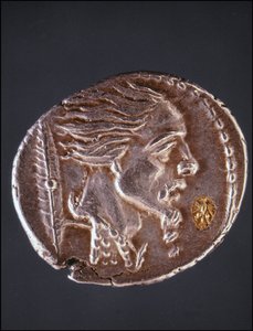 Presumed Profile of Vercingetorix on a Gauloise Piece. Museo del Medagliere. Milan by Gaulish Gaulish