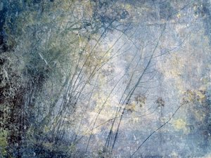 Ethereal Winter Forest by Gemma Bardot